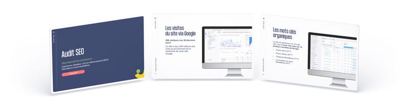 Rapport détaillé audit SEO